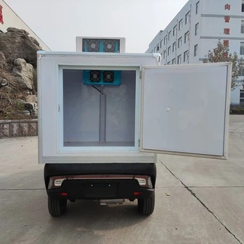 Mini Electric Delivery Car With A Refrigerator Box COC DOT Mini Electric Delivery Car With A Refrigerator Box COC DOT