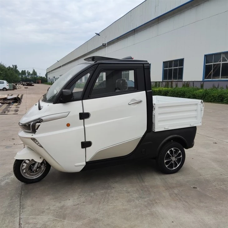 Runhorse Electric Logistics Vehicle Low Speed ​​Mini Car J2C