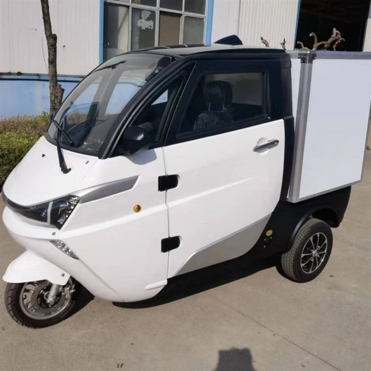 Factory Best Price Mini Delivery Car Electric EEC COC CE Adult Trike