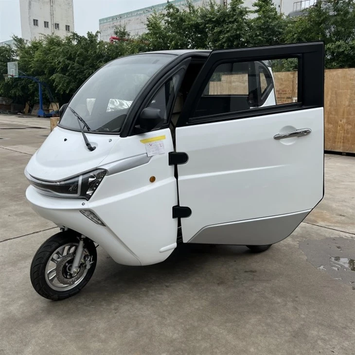3 Wheel Tricycle EEC Travel Tools Three Wheel Electric Scooter