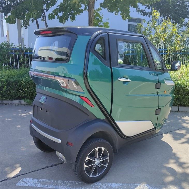 3 Wheel Tricycle EEC Travel Tools Three Wheel Electric Scooter